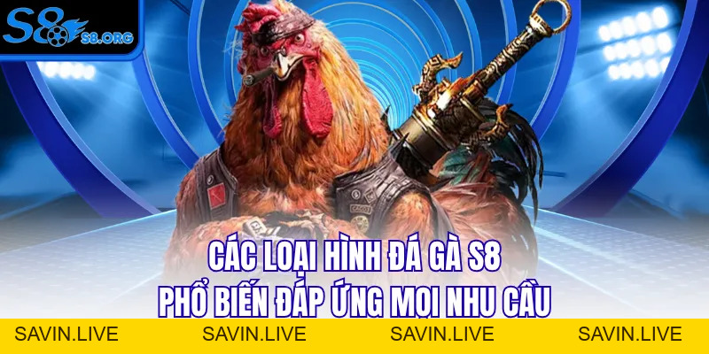 Đá Gà S8 - Sân Chơi Chọi Kê Đẳng Cấp Số 1 Châu Á