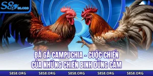 Tin Tức S8 Cập Nhật Thông Tin Cá Cược Chuẩn Xác Cho Bạn