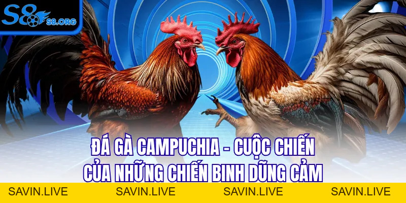 Kèo Thẻ Phạt - Top 1 Kèo Bóng Đá Tại Nền Tảng S8