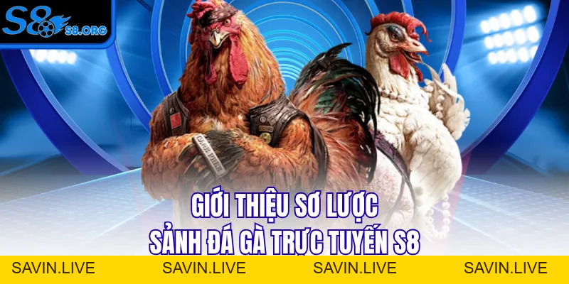 Đá Gà S8 - Sân Chơi Chọi Kê Đẳng Cấp Số 1 Châu Á