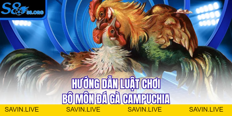 Đá Gà Campuchia - Cuộc Chiến Của Những Chiến Binh Dũng Cảm