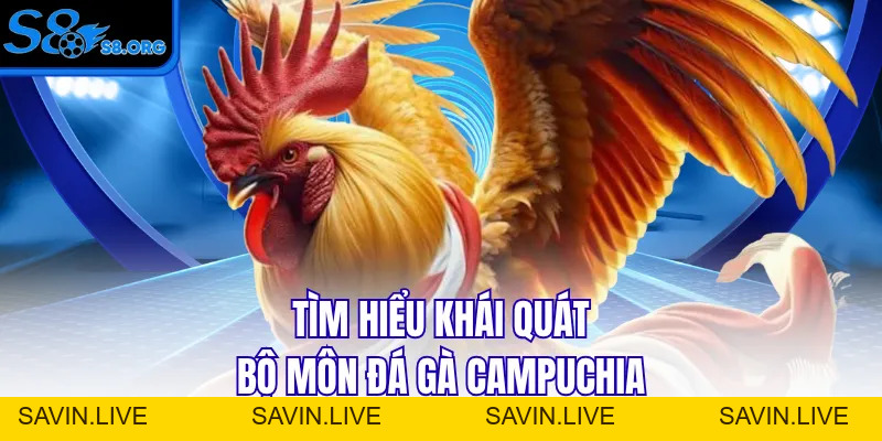 Đá Gà Campuchia - Cuộc Chiến Của Những Chiến Binh Dũng Cảm